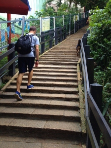 The first set of stairs. My friend Daniel and our hiking buddy, a random dog that followed us for a while.